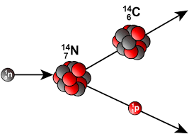 Forscherteam eicht radiokarbonuhr zur altersfeststellung neu. Altersbestimmung Mit Der Radiocarbonmethode Leifiphysik