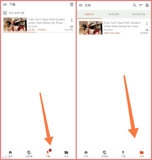 安卓+ios+PC：P站（Pornhub）高清视频下载教程，纯免费！ - 飙车场- 司机社