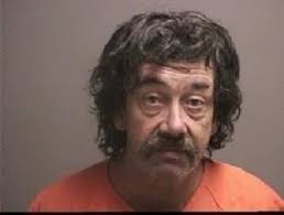 Petition · Enough is Enough! Justice for two German Shepherd Puppies from  Youngstown, Ohio