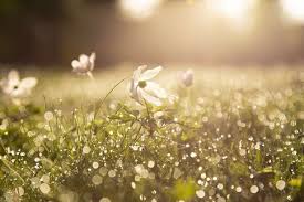 Your code, any cloud—we've got you covered. First Day Of Spring 2021 When Is The First Day Of Spring And What Is Its Meaning Cambridgeshire Live