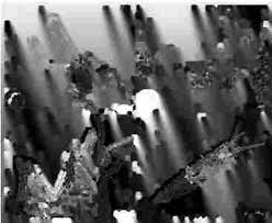 Image result for Mikania sagittifera