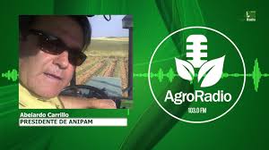 Entrevista // Abelardo Carrillo, presidente de ANIPAM