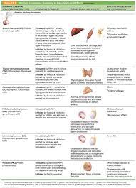 The Endocrine System Endocrine System Endocrine Nursing School Survival