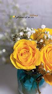 pin by noor on flower flower background wallpaper cute love images sky photography nature