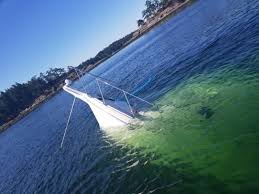 sinking boat near saturna island