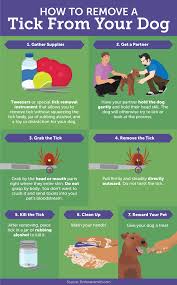 Another method for keeping dogs out of your yard is to use a commercial repellent. Keep Ticks And Fleas Away From Your Pet Fix Com