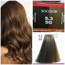 Sebenarnya uban atau rambut putih adalah rambut yang tak memiliki pigmen warna. Matrix Socolor 5 3 5g Golden Light Brown Cat Rambut Coklat Medium Gold Hair Dye So Color Perawatan Rambut Wanita Perawatan Tubuh Perawatan Kecantikan Bukalapak Com Inkuiri Com