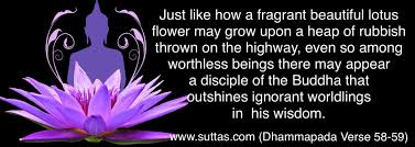 Dhammapada Verse 44 59 Flowers Suttas Com