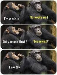 Monkeys funny #monkeys #funny #humor meme of a monkey staring dumb at a yellow flower captioned as how it feels to be back at your desk after a long weekend. 360 Monkeys Are Always Funny Ideas In 2021 Funny Monkeys Funny Funny Animals