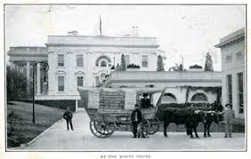 Divided Back Era (1907-1914) Postcard ...