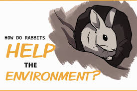 Small rabbits, such as pygmy rabbits, can be as little as 8 inches (20 centimeters) in length and weigh less than a pound. What Impact Do Rabbits Have On The Environment