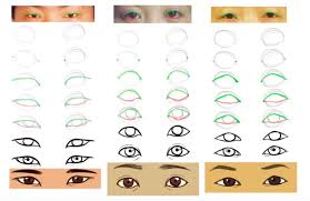 Asian Eyes Reference Eye Drawing Tutorials Art Reference Art Sketches Doodles