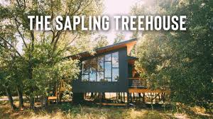 The treehouse sits about 20 feet above the ground in an elm tree, which also grows through the middle of the treehouse. Cabin Treehouse In The Beautiful Hill Country Airbnb Treehouse Tour Of The Sapling Youtube