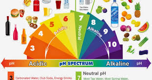 Health Nutrition Tips Alkaline Acidic Foods Chart The