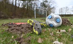 Tore und fußball ergebnisse live: Fussball N Land