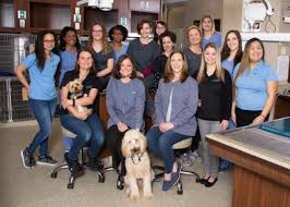 Beach pet hospital, located in virginia beach, va, is a medical facility for animals that offers comprehensive animal medical care services for pets including dogs, cats, and other household pets. Vet Clinic In Chesapeake Virginia Beach Va Animal Hospital