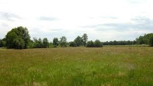 Je m'efforçai donc d'en savoir plus long: La Safer Peut Preempter Un Terrain Agricole Devenu A Batir Cassation