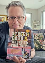 How to increase the odds of success