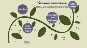 Misalnya negara di wilayah amerika serikat pada bagian timur, ujung selatan benua amerika, asia tengah, asia timur seperti pada negara china, korea dan. Sumber Semulajadi By Wan S On Prezi Next