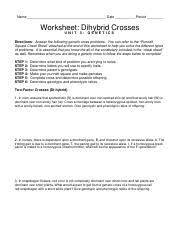 You will know all possible genotypes to result from the cross. Worksheet Dihybrid Crosses 2009 Pdf Name Date Period Worksheet Dihybrid Crosses Unit 3 Genetics Directions Answer The Following Genetic Cross Problems Course Hero