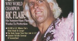 Pro Wrestling Illustrated January 1993