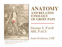A groin strain is an injury or tear to any of the adductor muscles of the thigh. Anatomy And Related Etiology Of Groin Pain