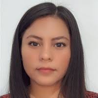 70+ perfiles de «Lizbeth Roman»