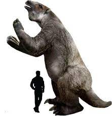 Megatherium | Wiki ACAM | Fandom