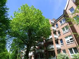 1.049 € miete privatangebot etagenwohnung 22043. Wohnungen Mieten Hamburg Hauser Immobilien Kaufen Mieten