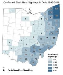 Black Bear Population By State 2019 Black Bear Sightings Expected To Ohio Division Of Wildlife Facebook