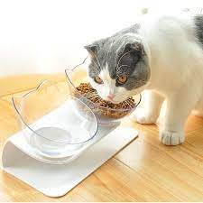 Ergonomic Cat Bowls Gamelle Chat Alimentation Du Chat Bol De Chat