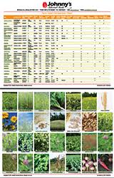 the cover crop decision making process 5 steps for