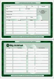 Os tipos de vacinação para cães e gatos em portugal prevê a ação de combate à várias doenças. Pin Em Modelos