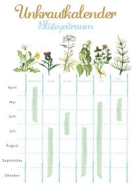 Unkrautkalender Als Pdf Wann Bluht Welches Unkraut Blutenzeitraum Der Verschiedenen Unkrautarten Zum Artikel Unkraut Vernichten Unkraut Im Garten Unkraut