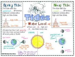 Tides Squiggle Sheets Understanding Checkpoint Quiz Ngss Aligned Middle School Science Experiments Science Notes Moon Science