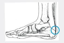 Praxis Leonardo Arzte Fur Orthopadie Und Traumatologie