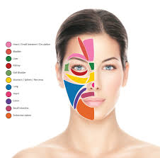 Cogent Reflexology Of The Face Chart Reflexology