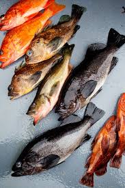 The Fish Of Alaska La Tartine Gourmande Fish Food Styling Food Photography Styling