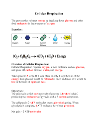 We did not find results for: Cellular Respiration