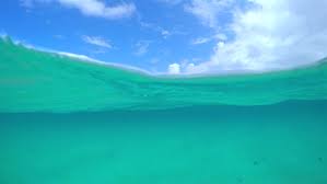 We did not find results for: Split Half Underwater Effects Od Forum