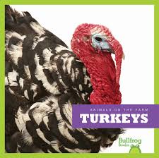 Turkeys (Bullfrog Books: Animals