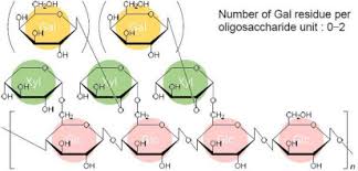 Mettre le mélange dans un moule à clafoutis chemisé. Xyloglucan Sciencedirect