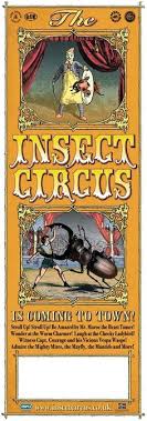 Flea circuses with live, performing fleas actually do exist. 38 Flea Circus Ideas Circus Fleas Circus Poster