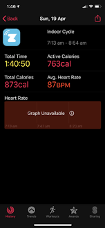 Of course, don't worry if you have a big screen, zwift has you covered there as well. Zwift Companion Activity Not Syncing To Apple Health Bugs And Support Zwift Forums