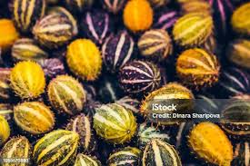 Image result for Cucumis anguria