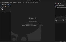 GIMP 2.10  2.99ツールボックスにおけるツールオプションの表示非表示 - 省型旧形国電の残影を求めて