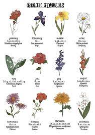 Everyone has a birth month flower that represents the month you were born, just like everyone has a birthstone for the month they were born in, or a zodiac sign. Birth Flower Poster 12 Months Birth Flower Tattoos Birth Flowers Larkspur Flower Tattoos