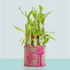 Tons of personalized ideas that'll make this mother's day the best one yet. Mother S Day Gifts Best Gift For Mothers Day Online Ferns N Petals
