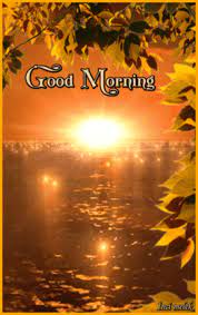 Aug 12, 2018 · morning is a difficult time of the day, because you need to get out of bed, get out of your comfort zone. Sunrise Good Morning Gif Pictures Photos And Images For Facebook Tumblr Pinterest An Good Morning Beautiful Pictures Good Morning Sunrise Good Morning Gif