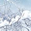 #winter aesthetics #snow aesthetic #aesthetic #snow #winter #snowflakes #aesthetics #mountains #forest #beautiful #snowy day #christmas. 3